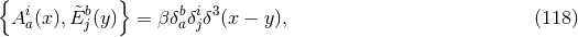 { i &tidle;b } b i 3 A a(x ),Ej(y) = βδaδjδ (x − y), (118 )