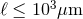 ℓ ≤ 103μm