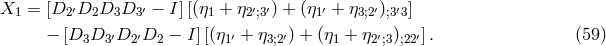 X1 = [D2 ′D2D3D3 ′ − I][(η1 + η2′;3′) + (η1′ + η3;2′);3′3] − [D D ′D ′D − I][(η′ + η ′) + (η + η ′ ) ′]. (59 ) 3 3 2 2 1 3;2 1 2;3 ;22