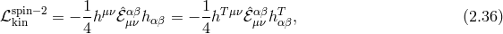 spin−2 1-μν ˆαβ 1- Tμν ˆαβ T ℒ kin = − 4h ℰ μν hαβ = − 4 h ℰμν hαβ, (2.36 )