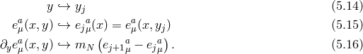 y `→ yj (5.14 ) ea(x, y) `→ e a(x) = ea(x, y ) (5.15 ) μ jμ ( μ j) ∂yeaμ(x, y) `→ mN ej+1aμ − ejaμ . (5.16 )