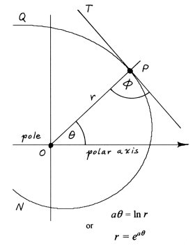 Logarithmic spiral